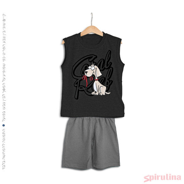 אפור עכבר / אפור אמריקאי