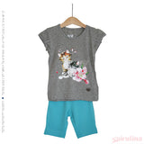 אפור אמריקאי / טורקיז