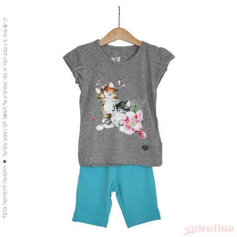 אפור אמריקאי / טורקיז