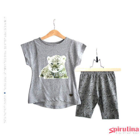 חליפת קיץ גור נמרים אפור מלאנג